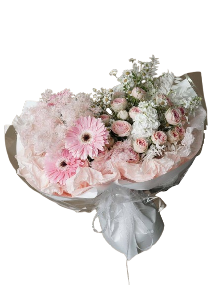 Blush Gerbera