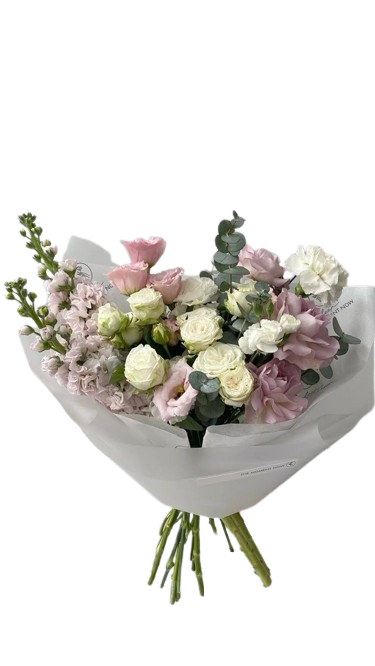 Pastel Eustoma