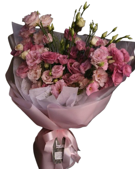 Pink Lisianthus