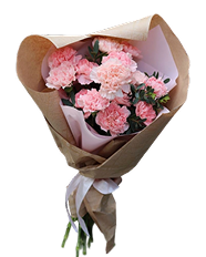 Pink Carnations