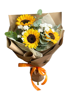 Sunflower Mix